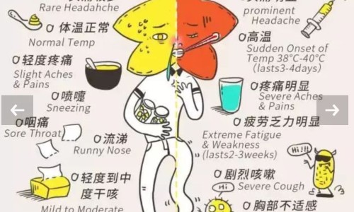 合欢话中药图片网 - 为你提供中药合欢花的使用方法、合欢中药的功效与作用